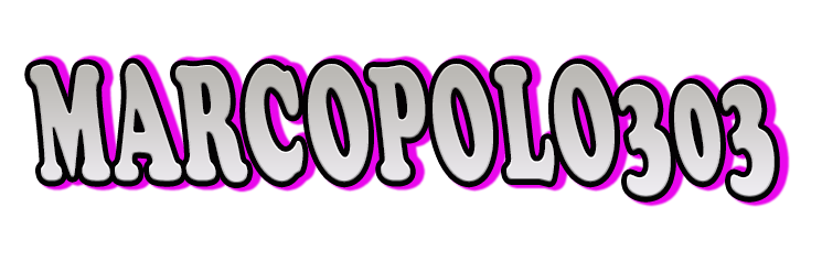 Marcopolo303